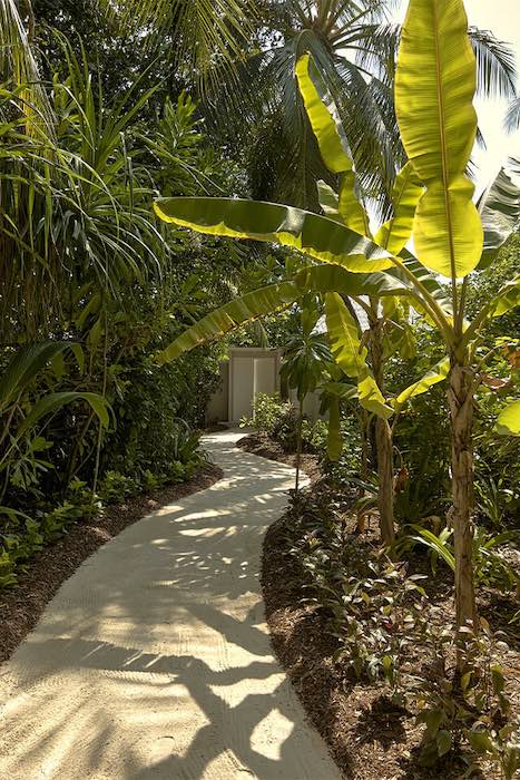 Beach Villa at Finolhu, a Seaside Collection Resort, view 5